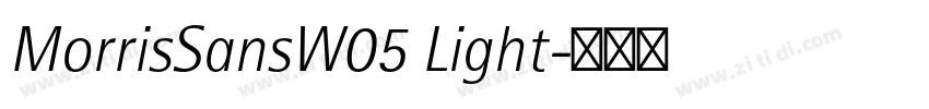 MorrisSansW05 Light字体转换
